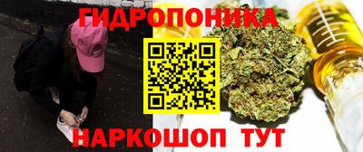 гашик Кулебаки