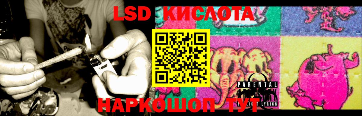 Электрогорск  LSD-25 экстази кислота  Лсд 25 экстази кислота  omg ССЫЛКА  Вход с VPN 