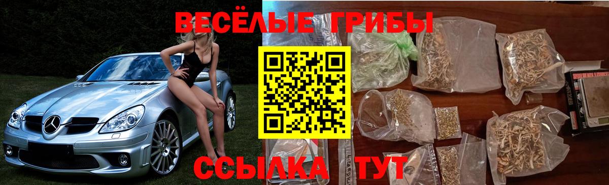 цена   Псилоцибиновые грибы MAGIC MUSHROOMS  Вход с VPN  Электрогорск  Галлюциногенные грибы ЛСД 